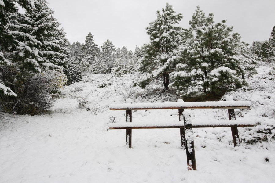 Cooking Alu – Gobi |   A demo for&nbsp;Michelle