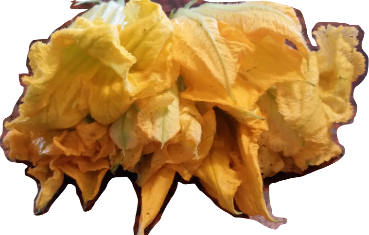 Squash Blossoms: Dosa (Crepe) &&nbsp;Salad